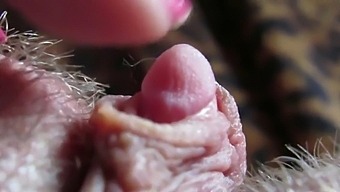 Up Close And Personal View Of My Throbbing Clitoris Head