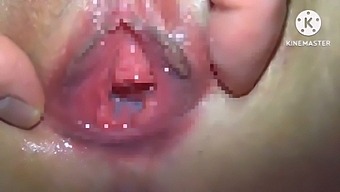 Amateur Japanese Couple'S Homemade Pussy Fucking And Creampie